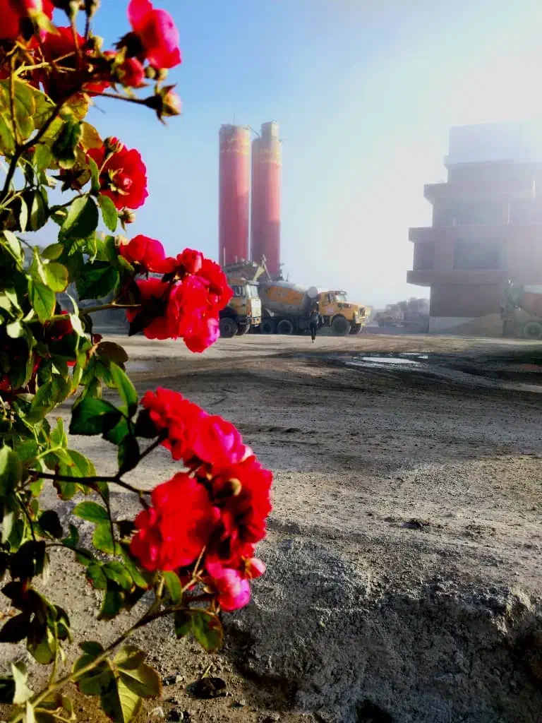 استخدام راننده پایه یک برای میکسر|استخدام حمل و نقل|اردبیل, |دیوار