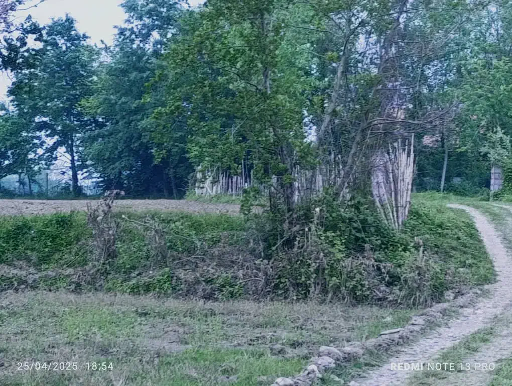 تهاتر زمین جواز دار|فروش زمین و ملک کلنگی|پرهسر, |دیوار