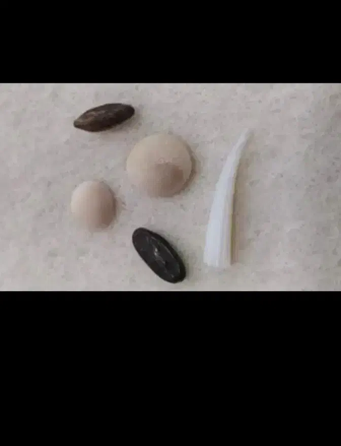 جواهر|جواهرات|زابل, |دیوار