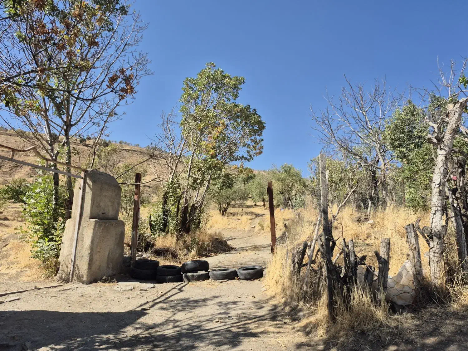 فروش باغ ۳۷۰۰متری حیدره زیرپارک جنگلی|فروش دفتر صنعتی، کشاورزی، تجاری|همدان, |دیوار