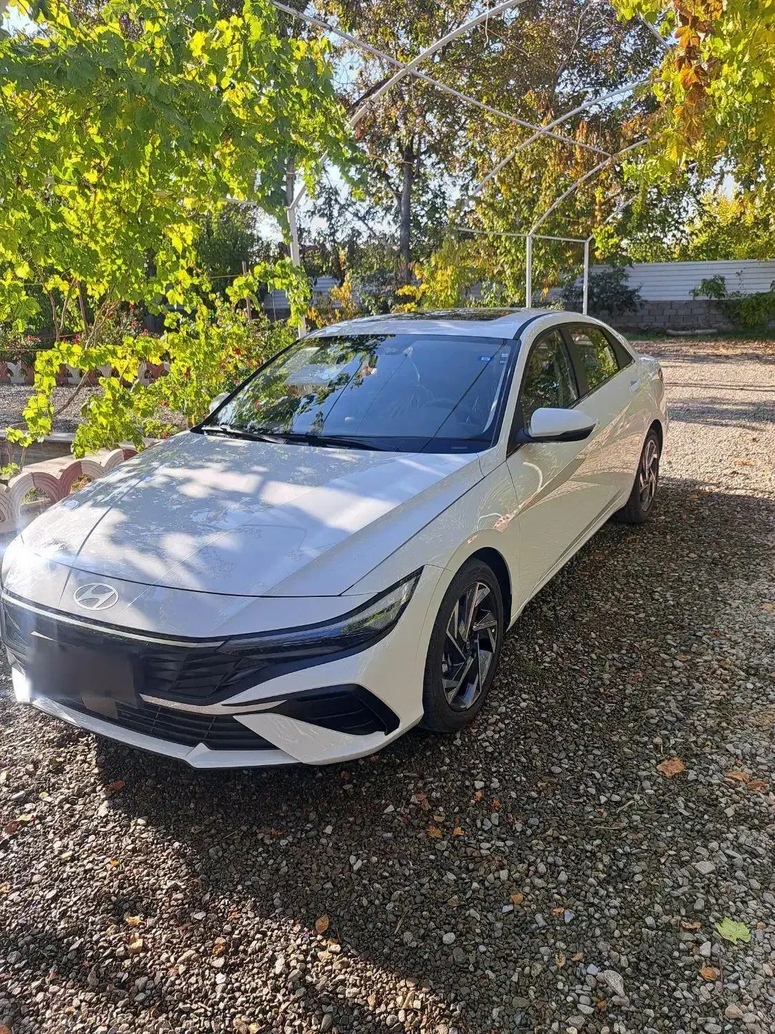 هیوندا النترا 2025 فول کامل ارس با پلاک|خودرو سواری و وانت|مرند, |دیوار