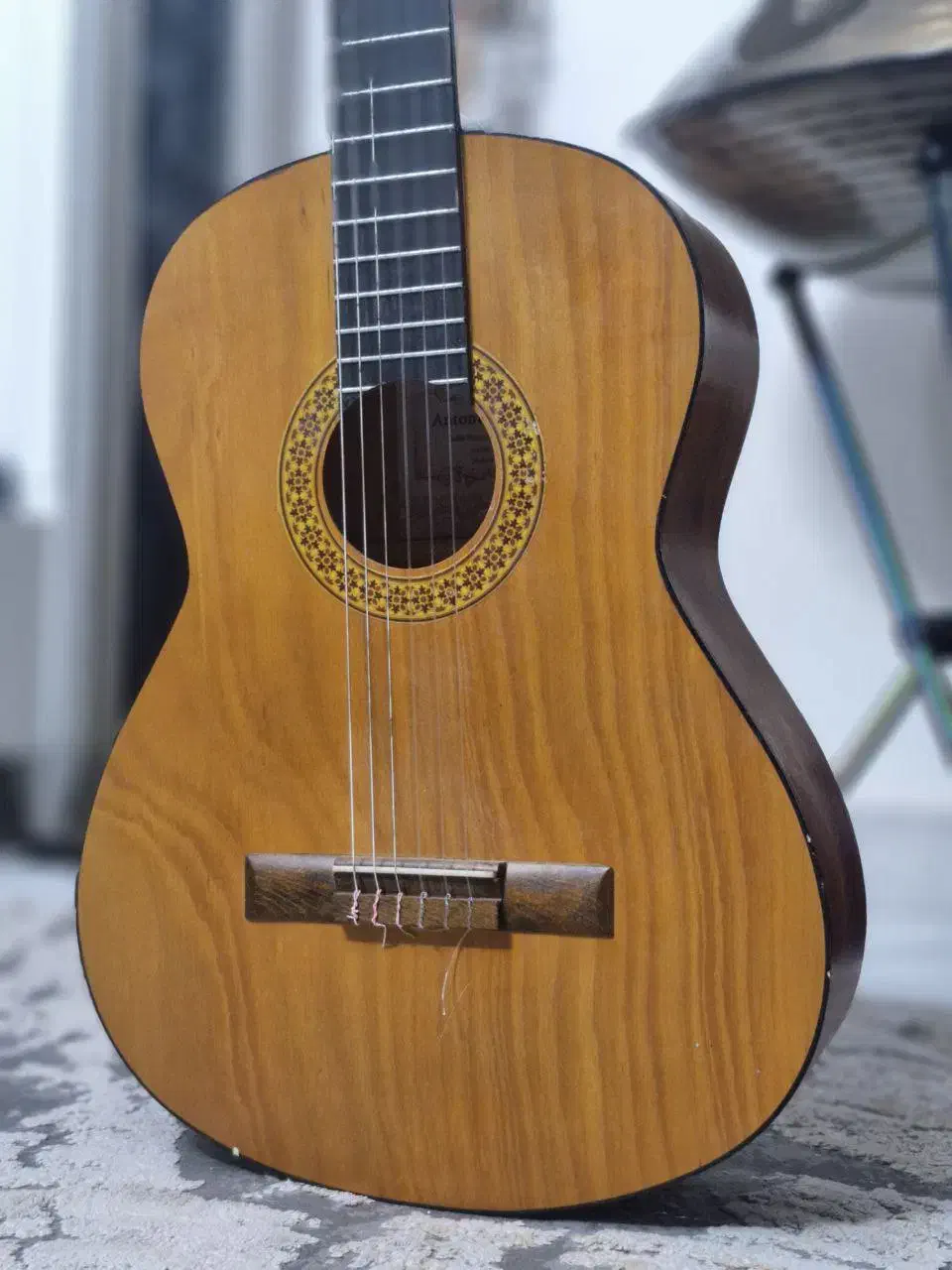 گیتار Antonio Caesar|گیتار، بیس، امپلیفایر|مشهد, فلسطین|دیوار