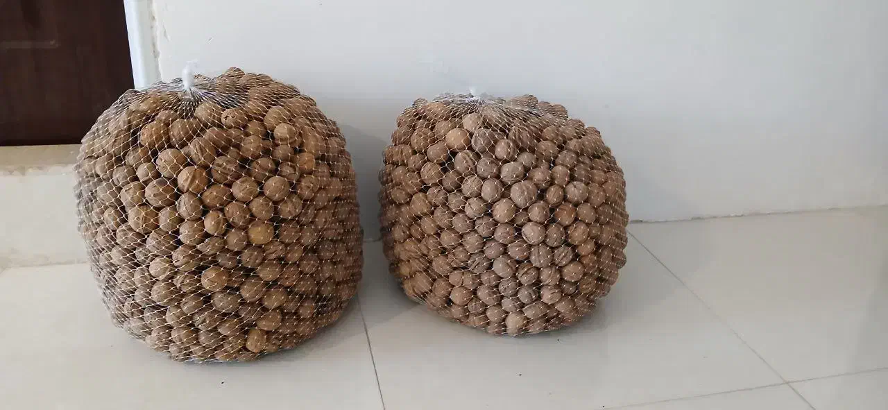 گردو درجه ۱ بوانات|خوردنی و آشامیدنی|شیراز, پودنک|دیوار