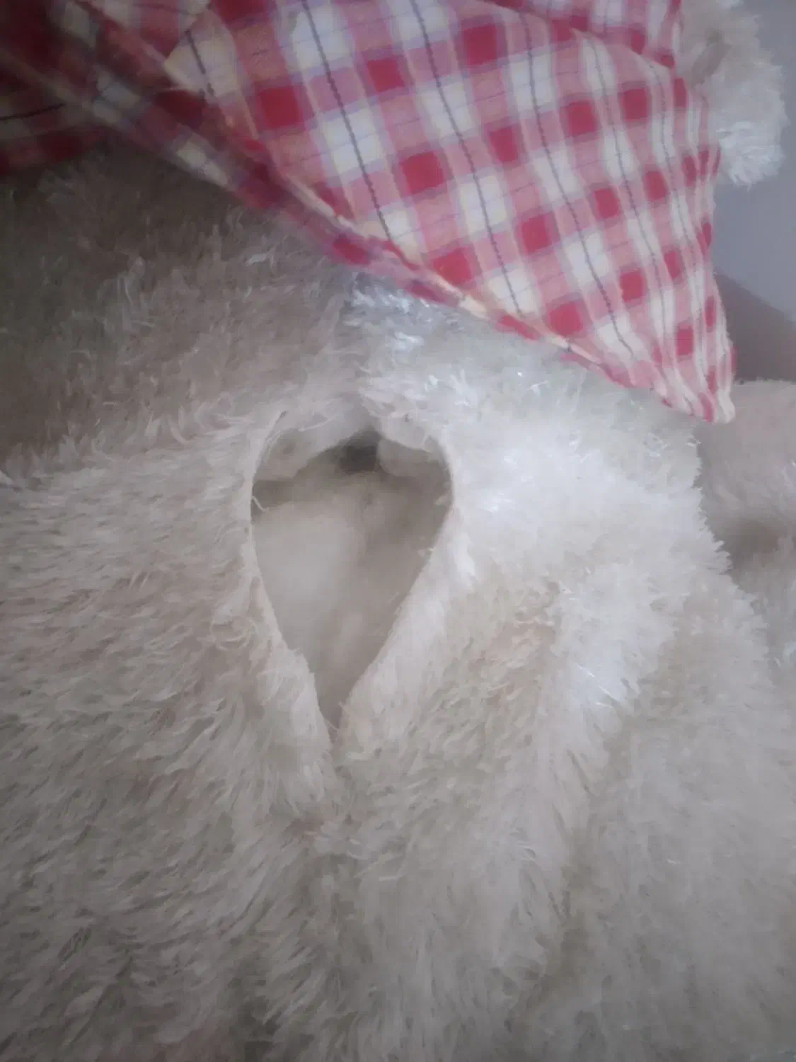 عروسک خرسی|اسباببازی بچه|بندرعباس, |دیوار