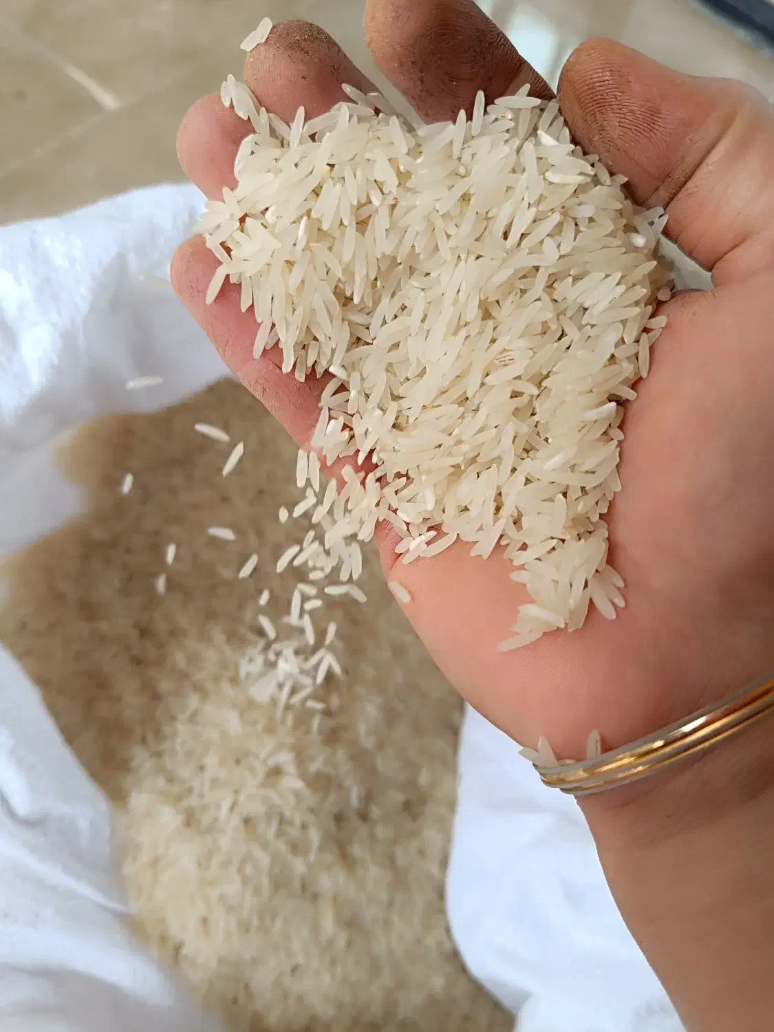 برنج فجر سوزنی و طارم هاشمی|خوردنی و آشامیدنی|گرگان, |دیوار