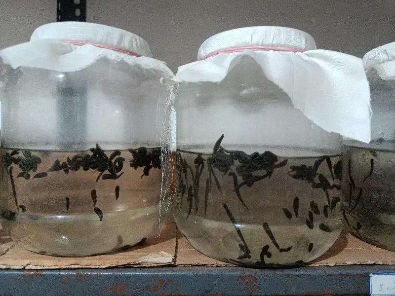 آموزش پرورش زالو|خدمات آموزشی|تبریز, |دیوار