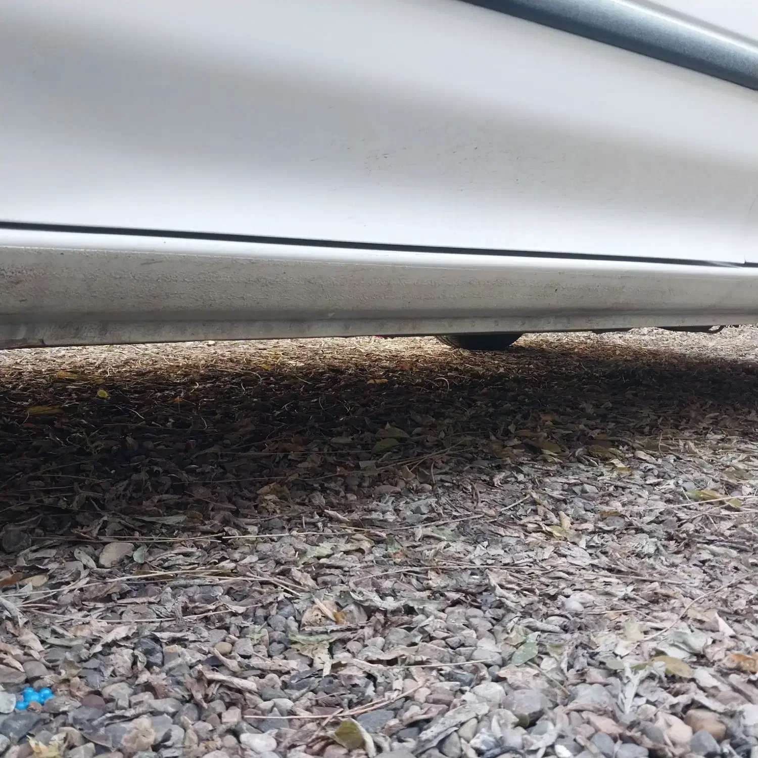 پراید ۹۲ صفر خشک واقعی|خودرو سواری و وانت|قائم‌شهر, |دیوار