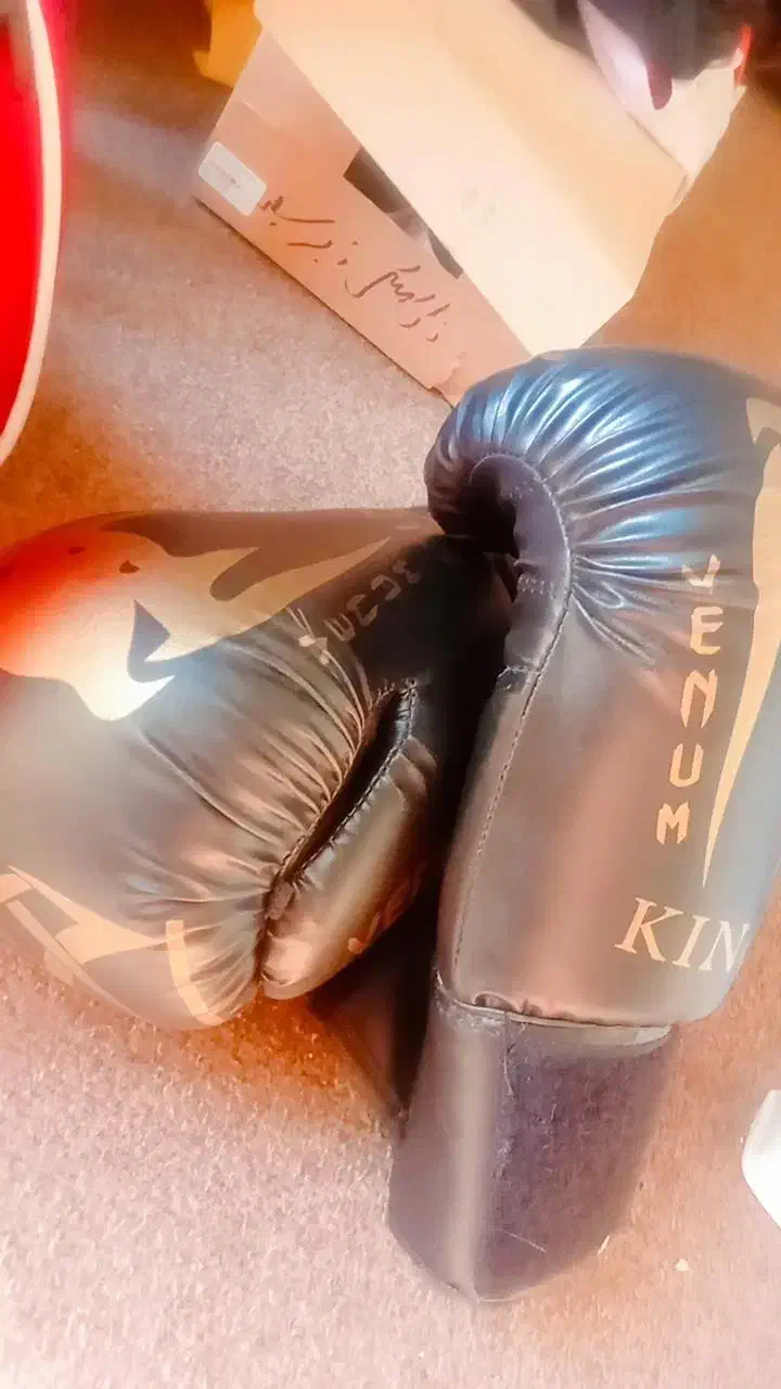 دستکش بوکس برندVENUMبا ساک و لسته وبیضه بند|تجهیزات ورزشی|شیراز, قصرالدشت|دیوار