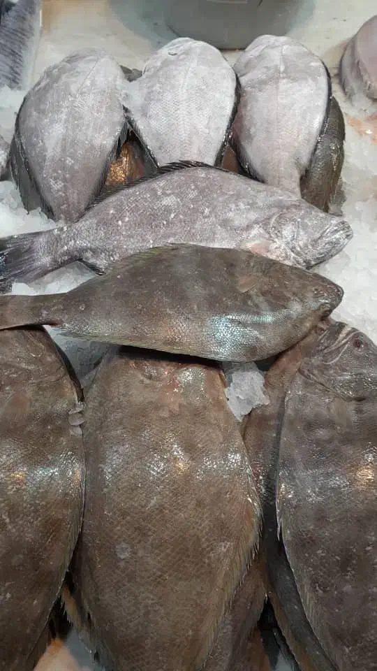 میگو ماهی تازه آبادان ارسال به شهرستان|خوردنی و آشامیدنی|تهران, مختاری|دیوار