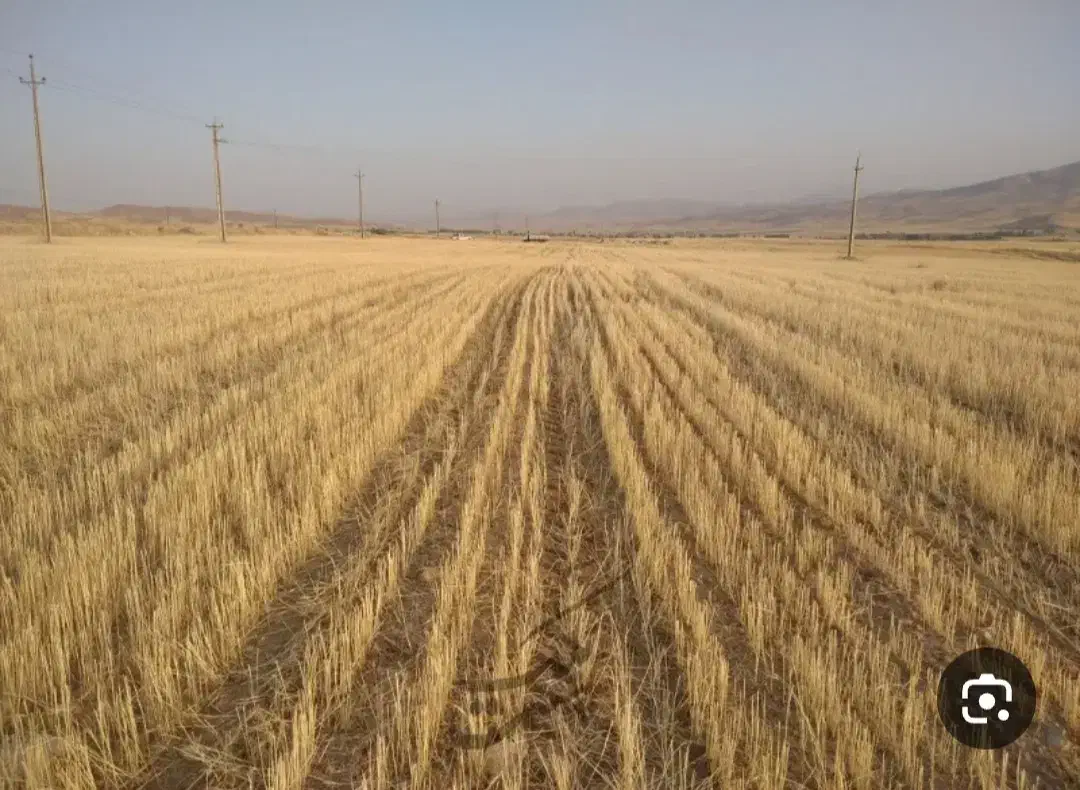 اجاره زمین کشاورزی|اجارهٔ دفتر صنعتی، کشاورزی، تجاری|گیان, |دیوار