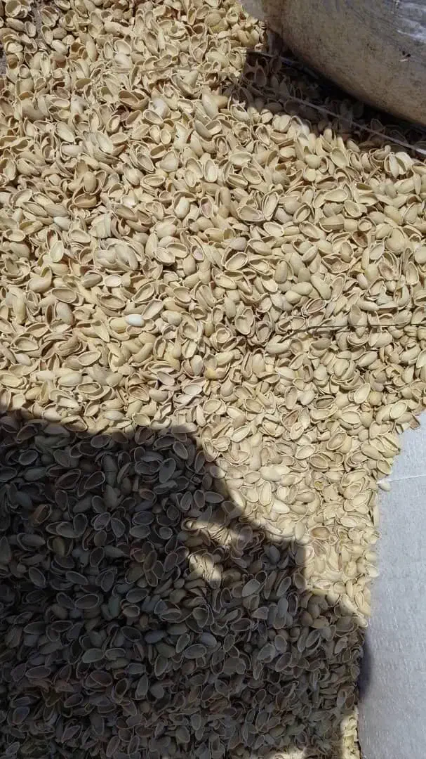 خریدار پوست پسته، تناژ بالا|خدمات باغبانی و درختکاری|شهر بابک, |دیوار