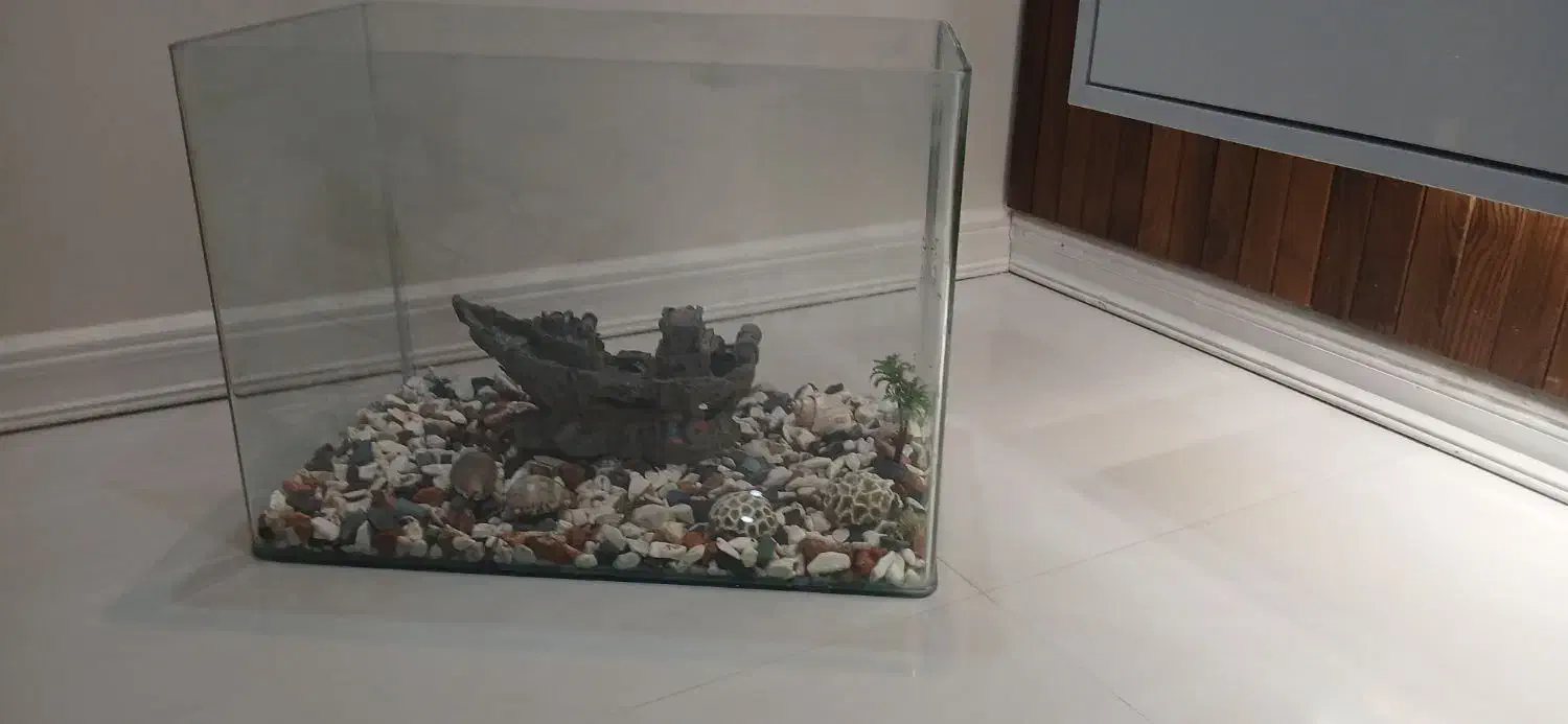 آکواریم سالم شیشه خم به همراه لوازم|ماهی|مشهد, رضاشهر|دیوار