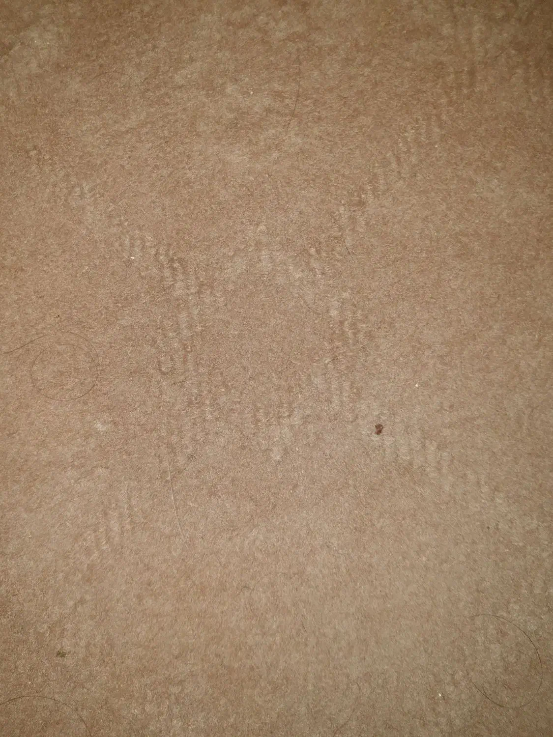 موکت دست دوم حدودا ۲۰ ..۲۵ متر مربع|موکت|گرگان, |دیوار