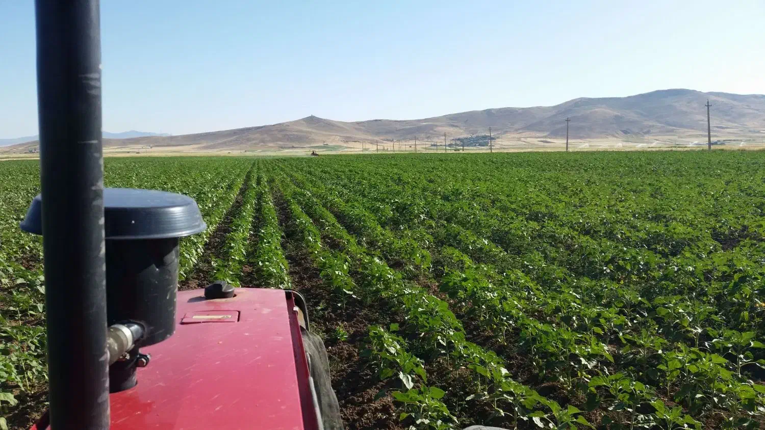 زمین کشاورزی|فروش دفتر صنعتی، کشاورزی، تجاری|روانسر, |دیوار