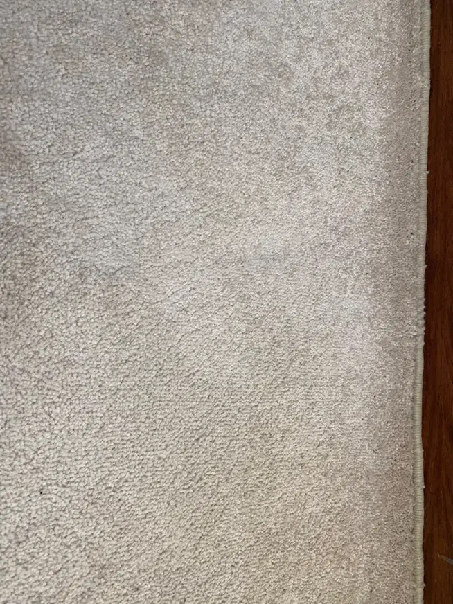 پالاز موکت درحدنو|موکت|ورامین, ورامین|دیوار