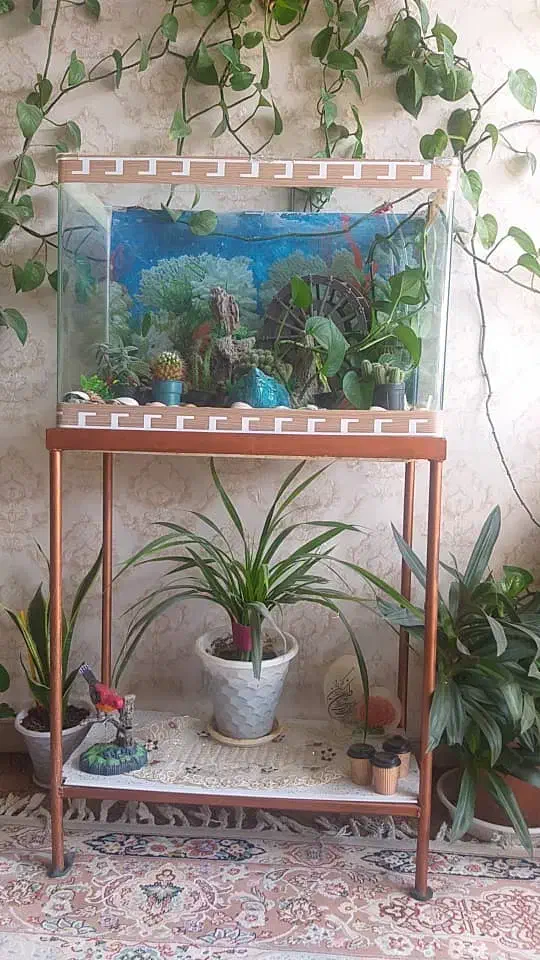 آکواریوم شیشه خم با تزئینات|ماهی|خمینیشهر, |دیوار