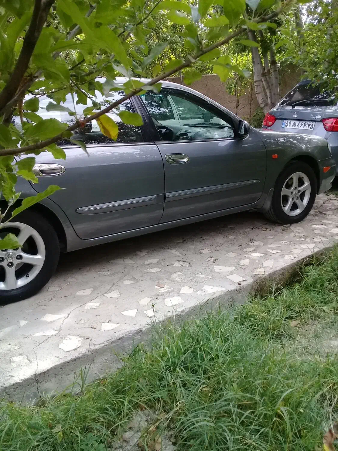 ماکسیما مدل۸۸استثنائی درمدلخودش|خودرو سواری و وانت|تبریز, |دیوار