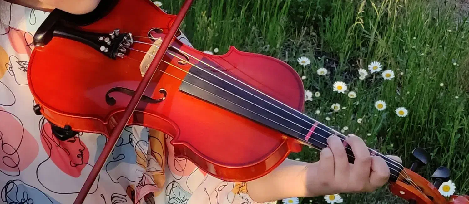 ویلون نیمه حرفه ای|ویولن|ارومیه, |دیوار