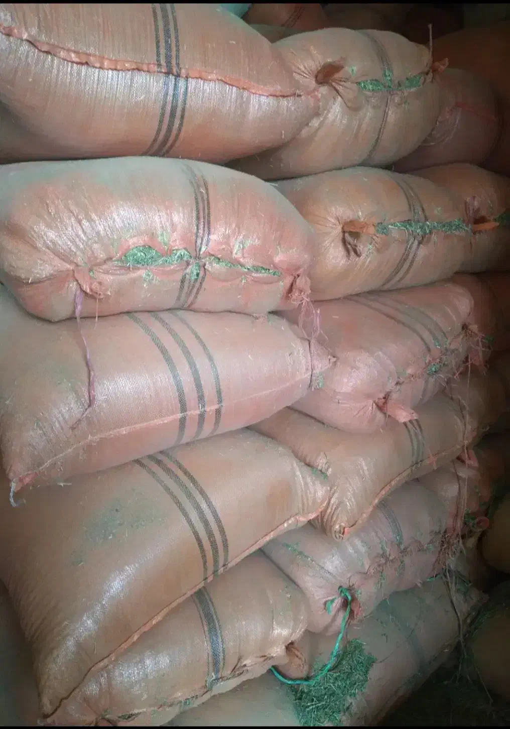 یونجه|لوازم جانبی حیوانات|شهرکرد, |دیوار