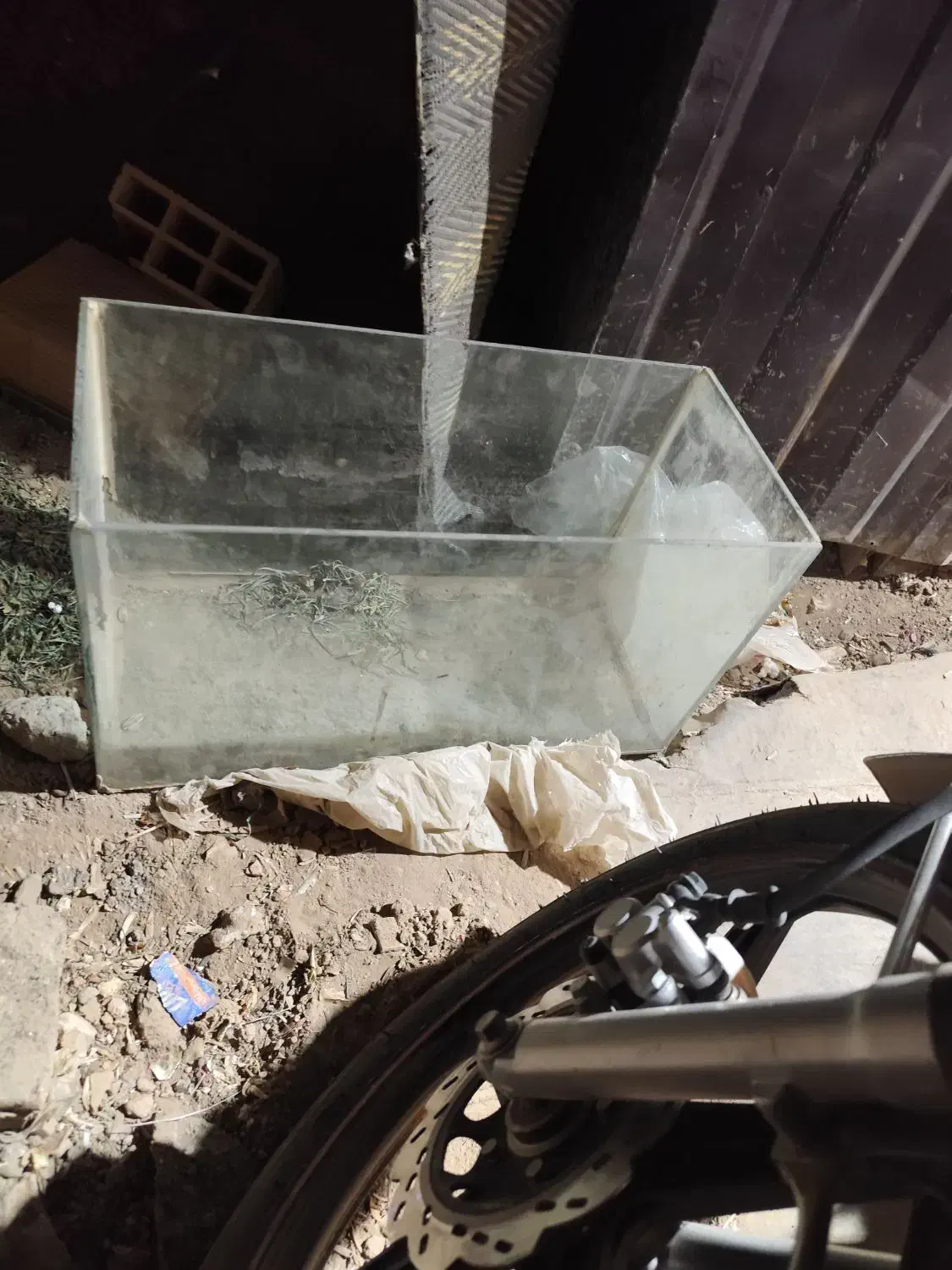 اکواریوم ماهی|ماهی|نیشابور, گنبد سبز|دیوار