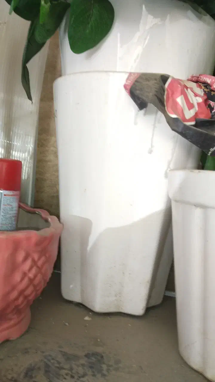 گلدان سرامیکی زیر قیمت سایز 40سانت و 60و 70|گل مصنوعی|تربت‌حیدریه, دیزقند|دیوار