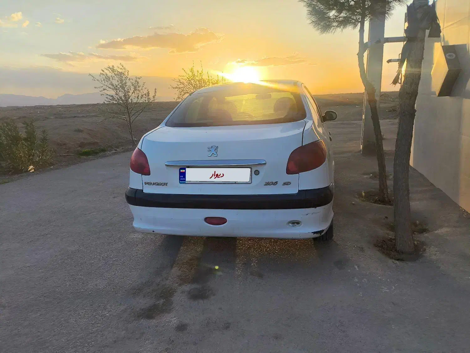 206 sd v8|خودرو سواری و وانت|برخوار, |دیوار