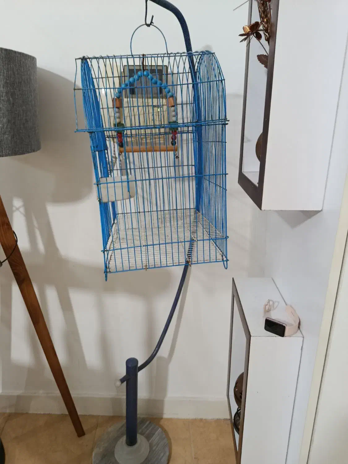 قفس پرنده|لوازم جانبی حیوانات|گرگان, |دیوار