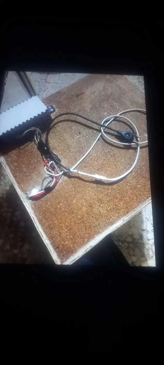 دستگاه  جوجه کشی|لوازم جانبی حیوانات|رشت, یخسازی|دیوار