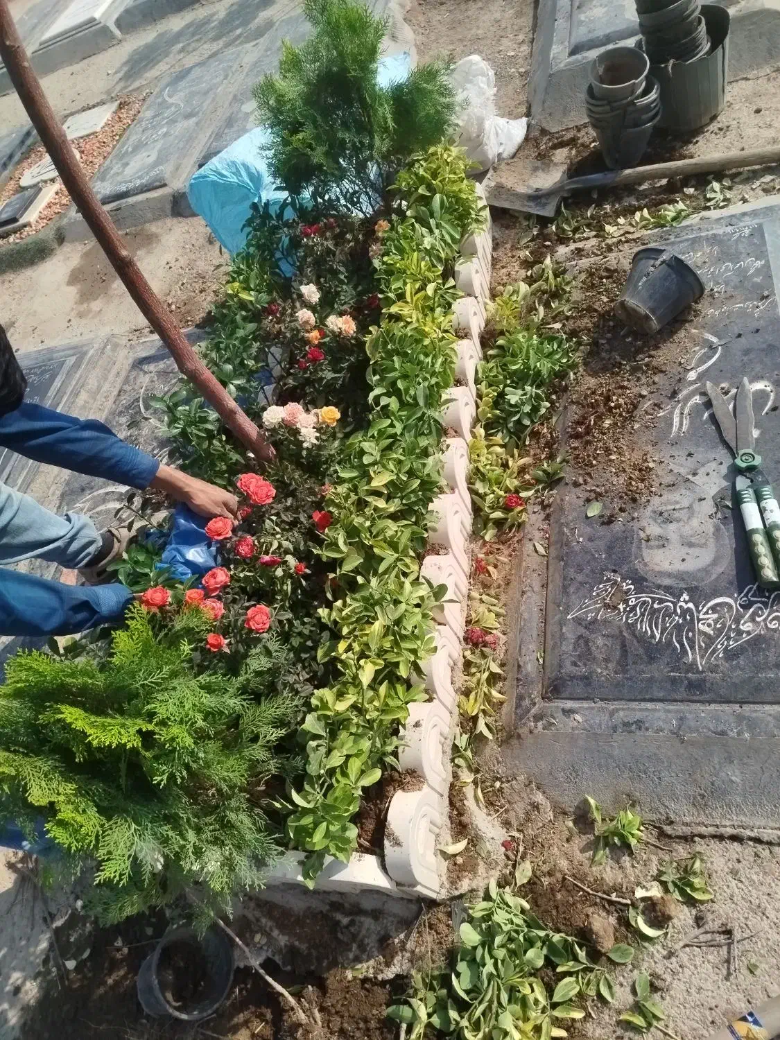 خدمات باغبانی سیار گل کاری سم پاشی تعویض خاک گلدان|خدمات باغبانی و درختکاری|تهران, شهرک غرب|دیوار