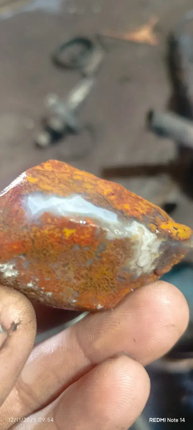 سنگشجر|کلکسیون اشیاء عتیقه|زابل, |دیوار