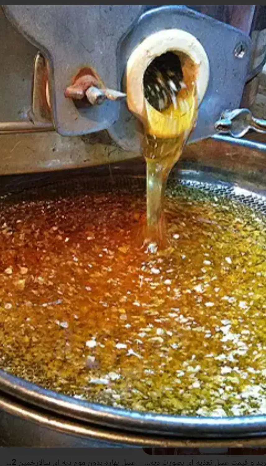 فروش عسل تغذیه و طبیعی نرمدار  کیفیت خیلی بالا|خوردنی و آشامیدنی|مینودشت, |دیوار