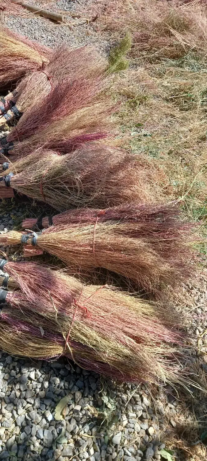 جارو|جاروبرقی، جارو شارژی، بخارشو|بیرانوند, |دیوار