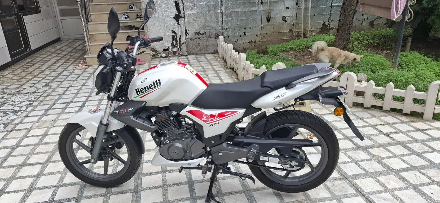 بنلی ۱۵۰ در حد خشک|موتورسیکلت|جویبار, |دیوار