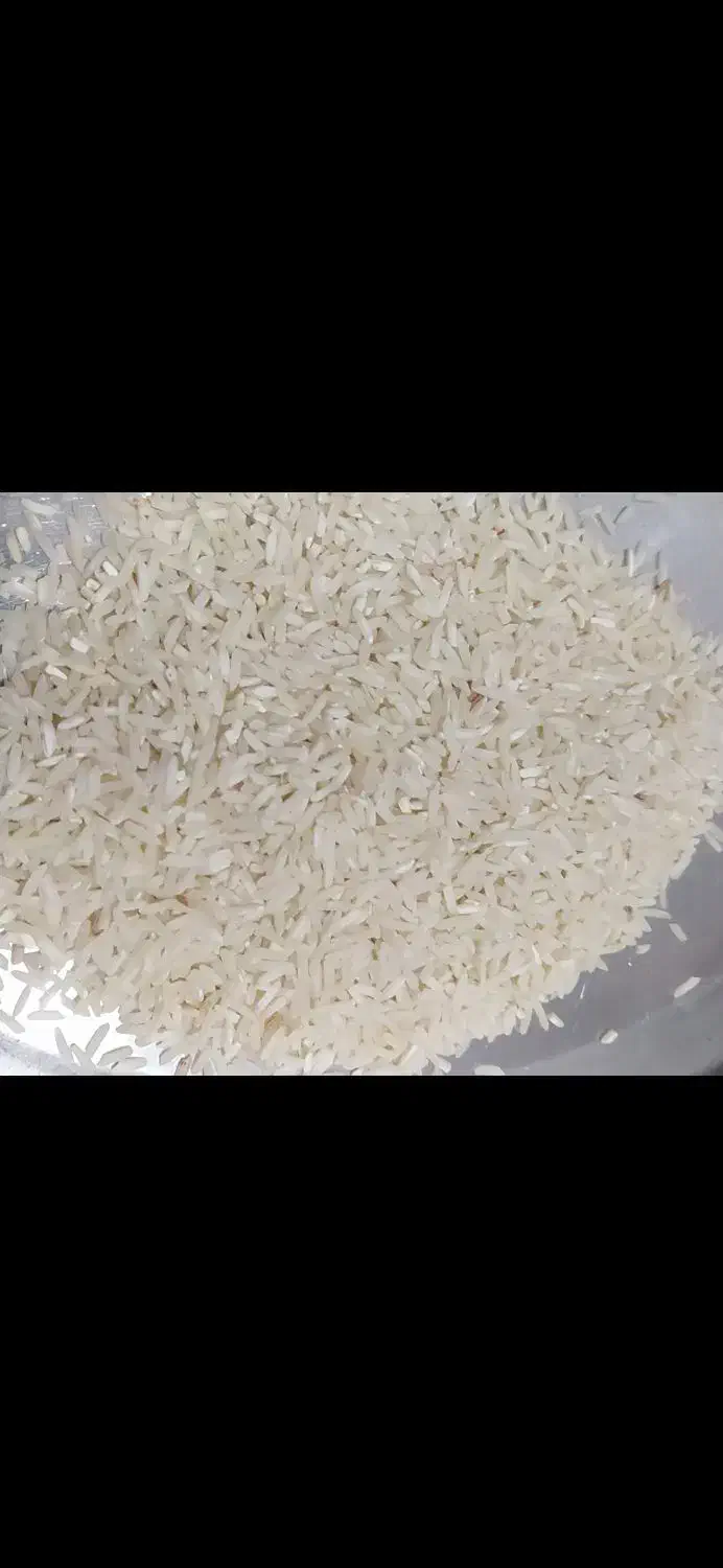 فروش برنج طارم شیرودی|عمده‌فروشی|درب گنبد, |دیوار