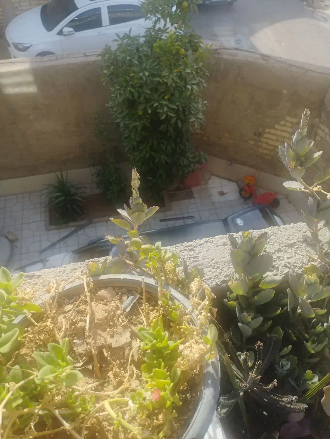 رهن و اجاره منزل 150متری|اجارهٔ خانه و ویلا|شیراز, کوشک میدان|دیوار