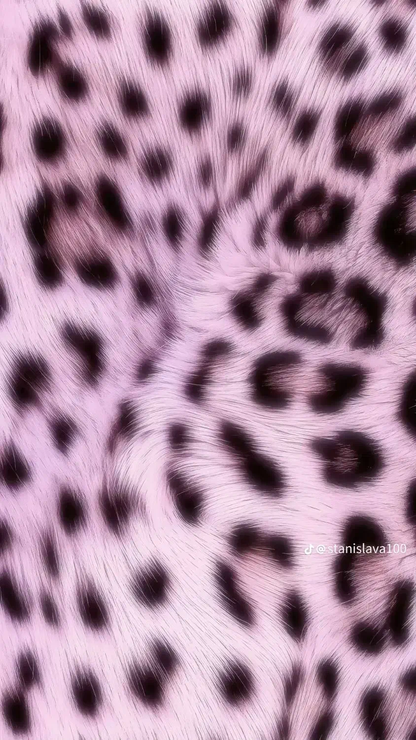 تعدادی لباس|لباس|فیروزآباد (فارس), |دیوار