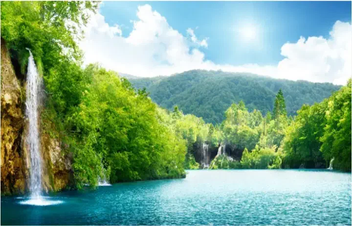 راهنمایی|فعالیت داوطلبانه تحقیقاتی|کرج, گوهردشت|دیوار