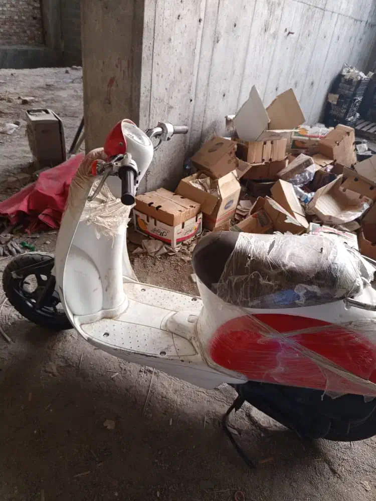 موتور پاکشتی|موتورسیکلت|زاهدان, |دیوار