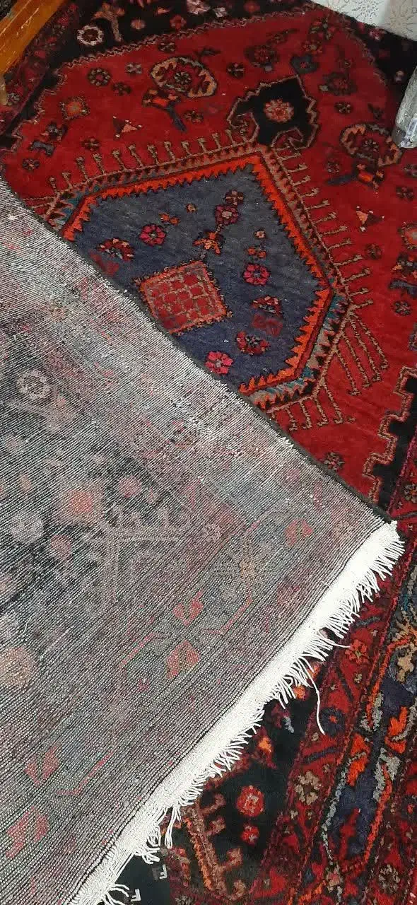 فرش|فرش|زنجان, |دیوار