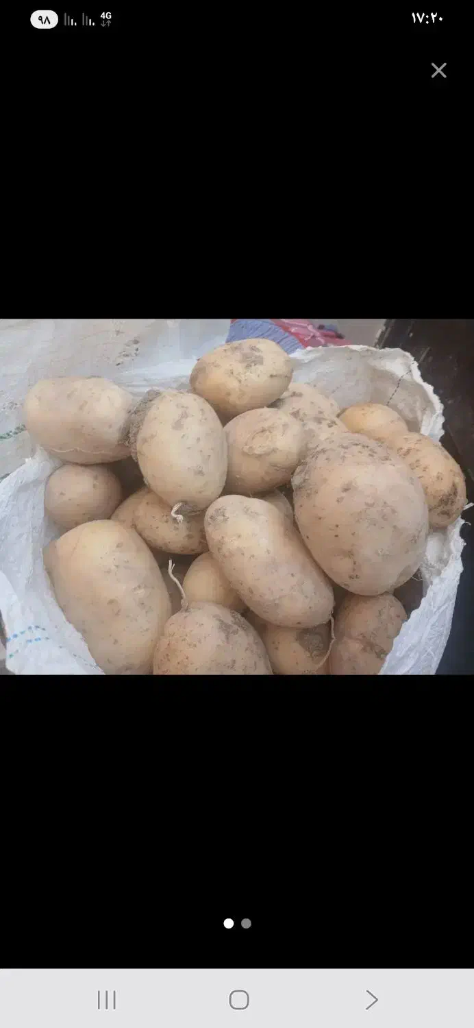 سیب زمینی تازه|عمدهفروشی|بروجن, |دیوار