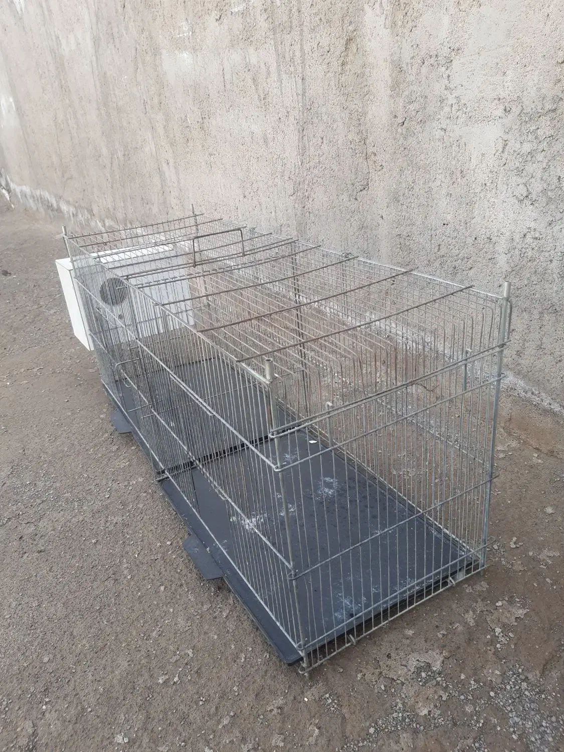 قفس|لوازم جانبی حیوانات|رفسنجان, |دیوار