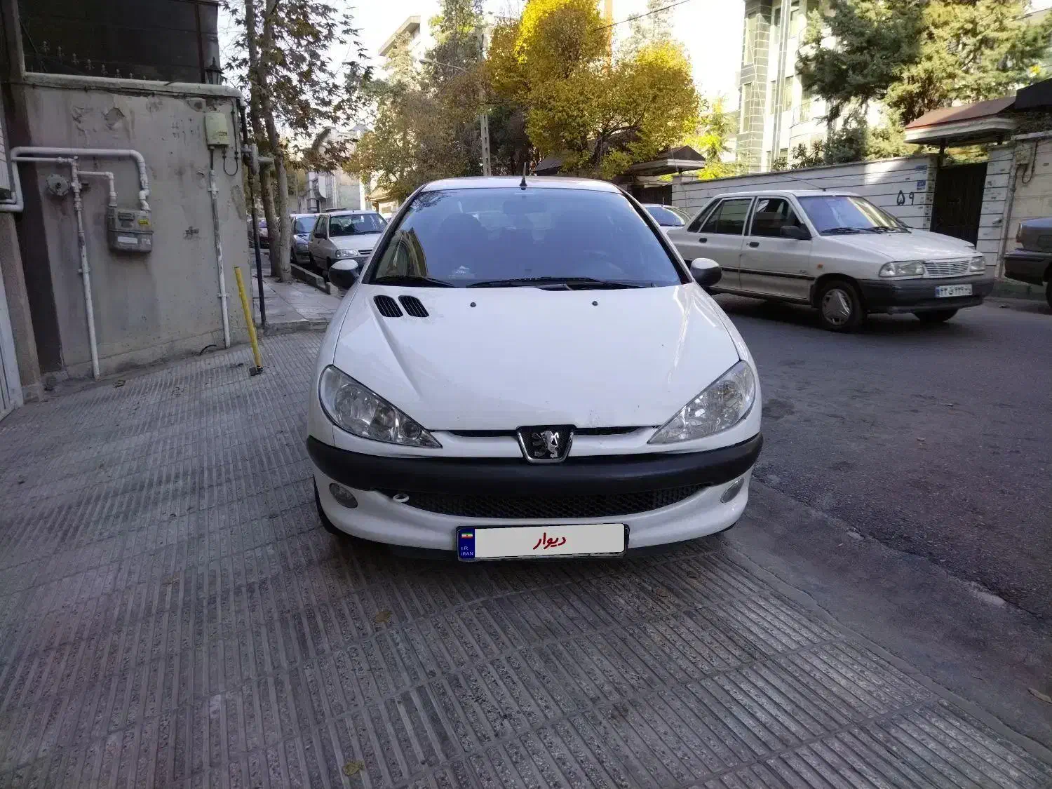 206 SD V8 مدل 91|خودرو سواری و وانت|تهران, ونک|دیوار