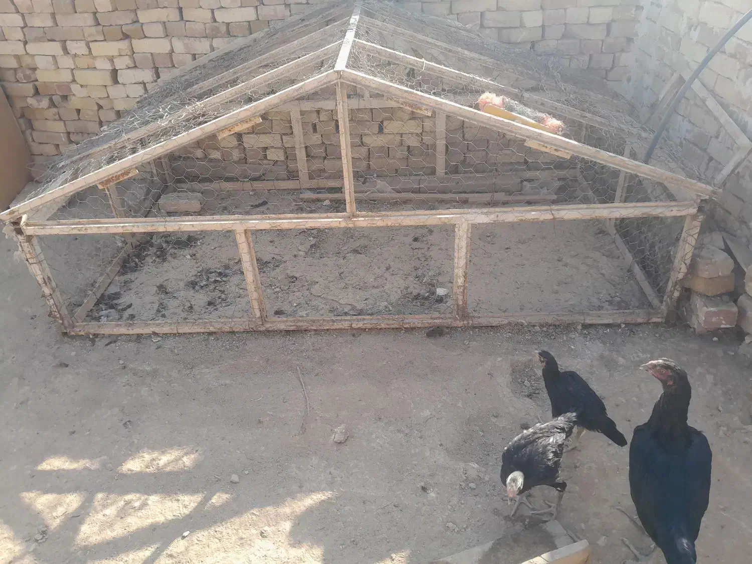 قفس بزرگ|لوازم جانبی حیوانات|تاکستان, |دیوار