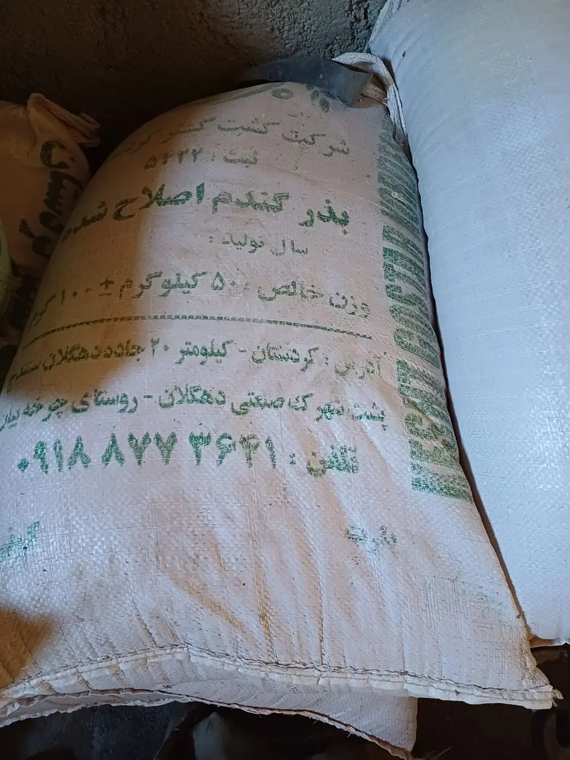 گندم بذر|خدمات باغبانی و درختکاری|سنندج, |دیوار