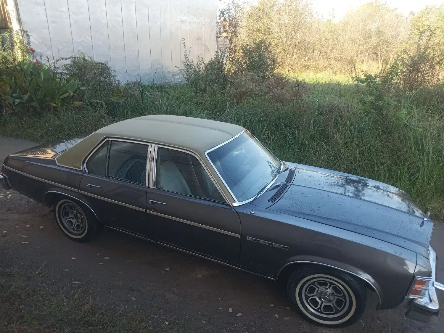 بیوک بی ۳ مدل ۶۴|خودرو کلاسیک|شلمان, |دیوار