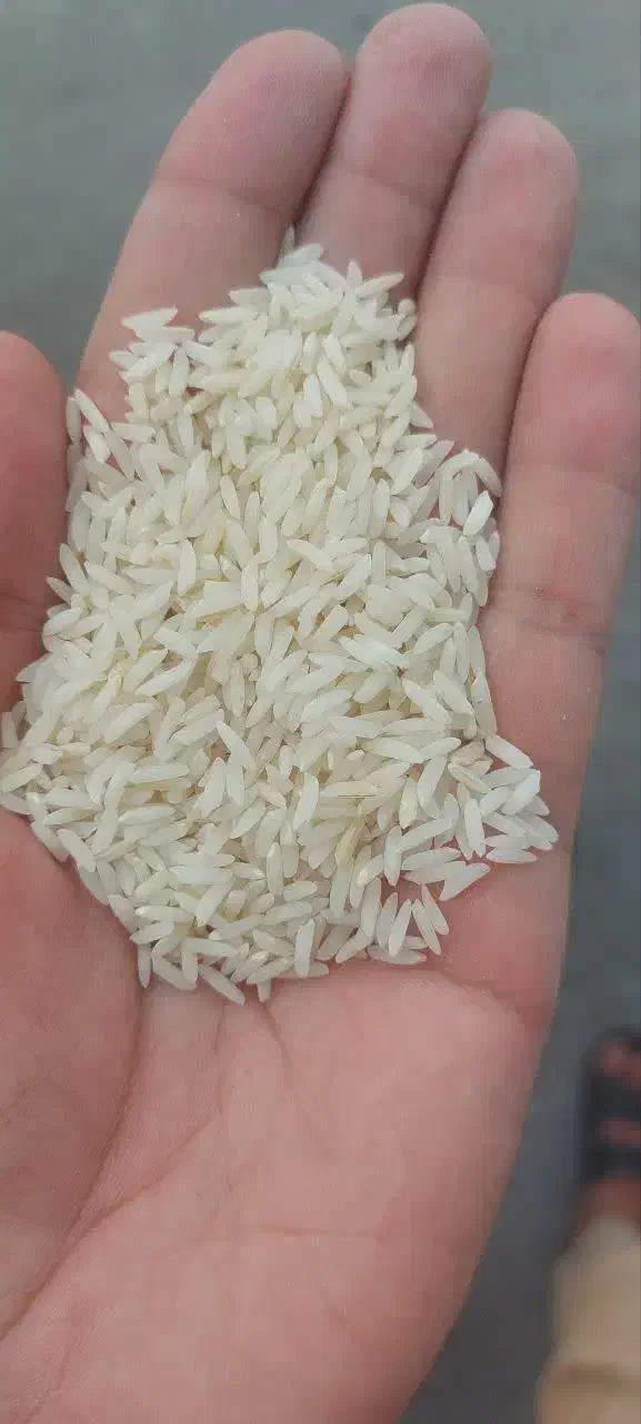 طارم هاشمی معطر|خوردنی و آشامیدنی|تهران, مولوی|دیوار