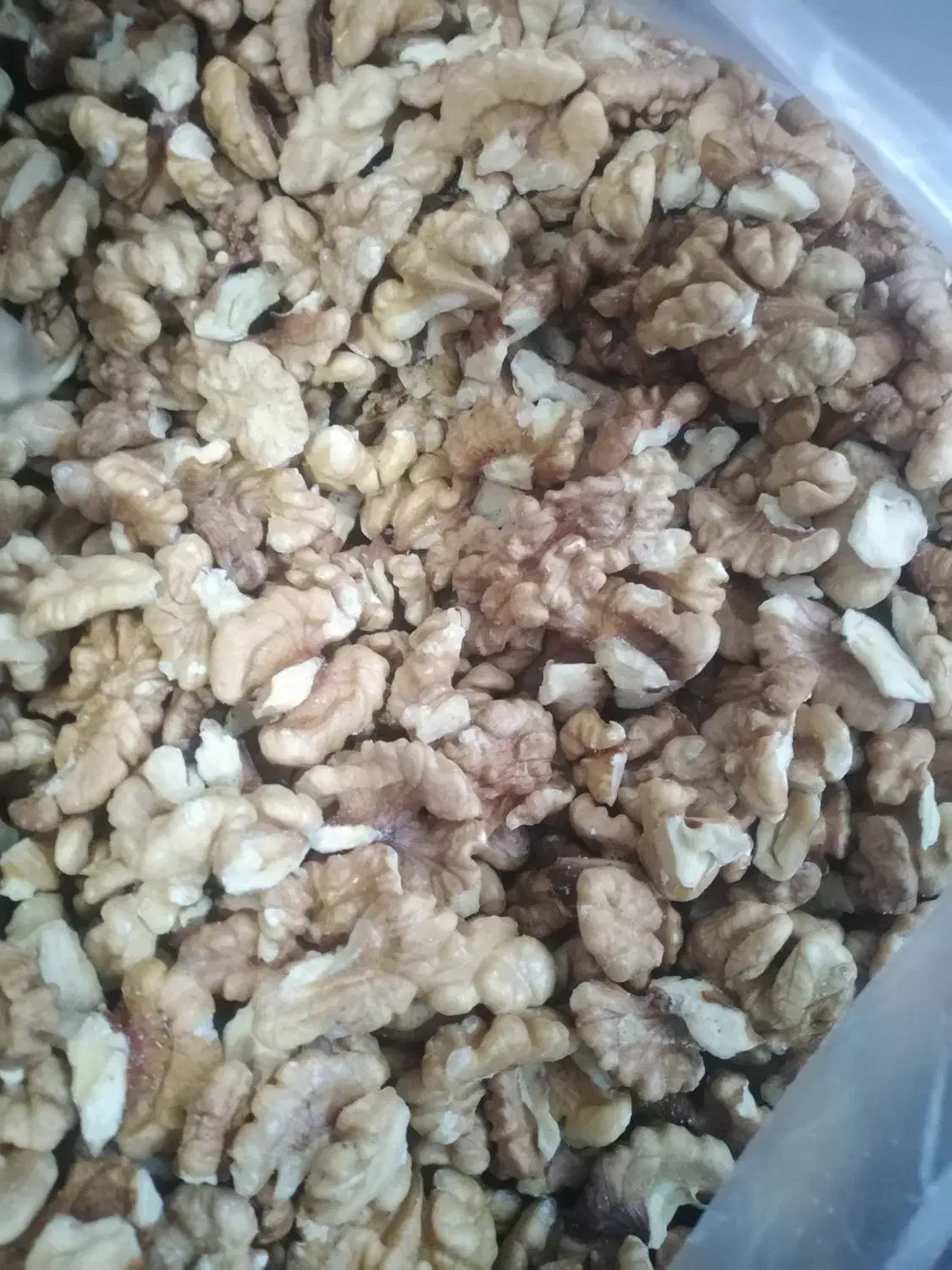 مغز گردو امسالی ...تویسرکان|خوردنی و آشامیدنی|تهران, ایوانک|دیوار