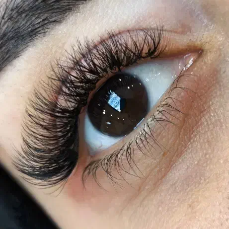 اکستنشن مژه ،لیفت و لمینت ابرو،مژه تخفیف ویژه یلدا|خدمات آرایشگری و زیبایی|سهند, |دیوار