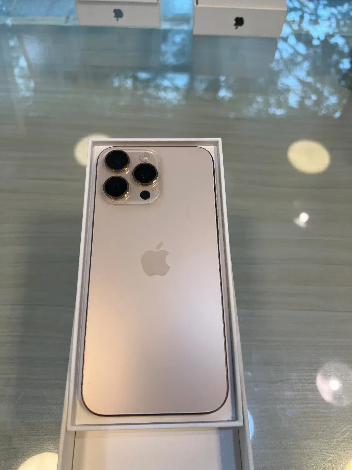 ایفون ۱۶ پرومکس رنگ جذاب desert titanium|موبایل|ساری, |دیوار