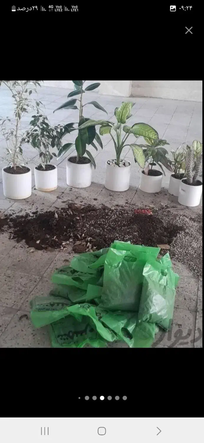 باغبانی در پردیس کرشت رودهن مهراباد|خدمات باغبانی و درختکاری|پردیس, فاز ۸|دیوار